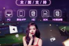 探索PA游戏，融合策略与冒险的奇妙之旅